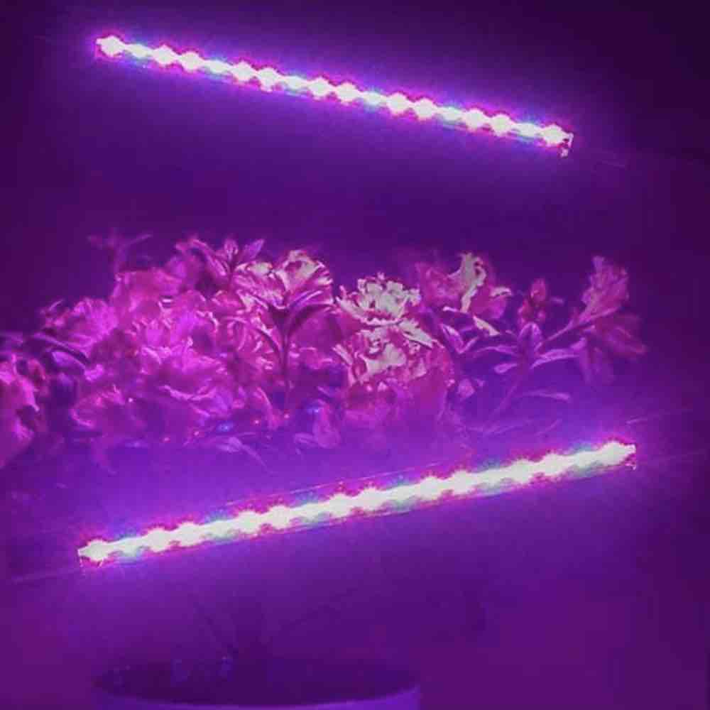 Dual Head LED Grow Light, 40 W: image 3