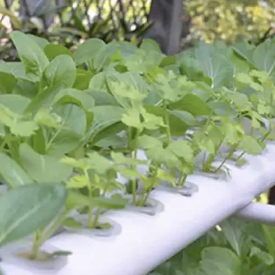 108 Cup NFT Hydroponics Kit: image 3