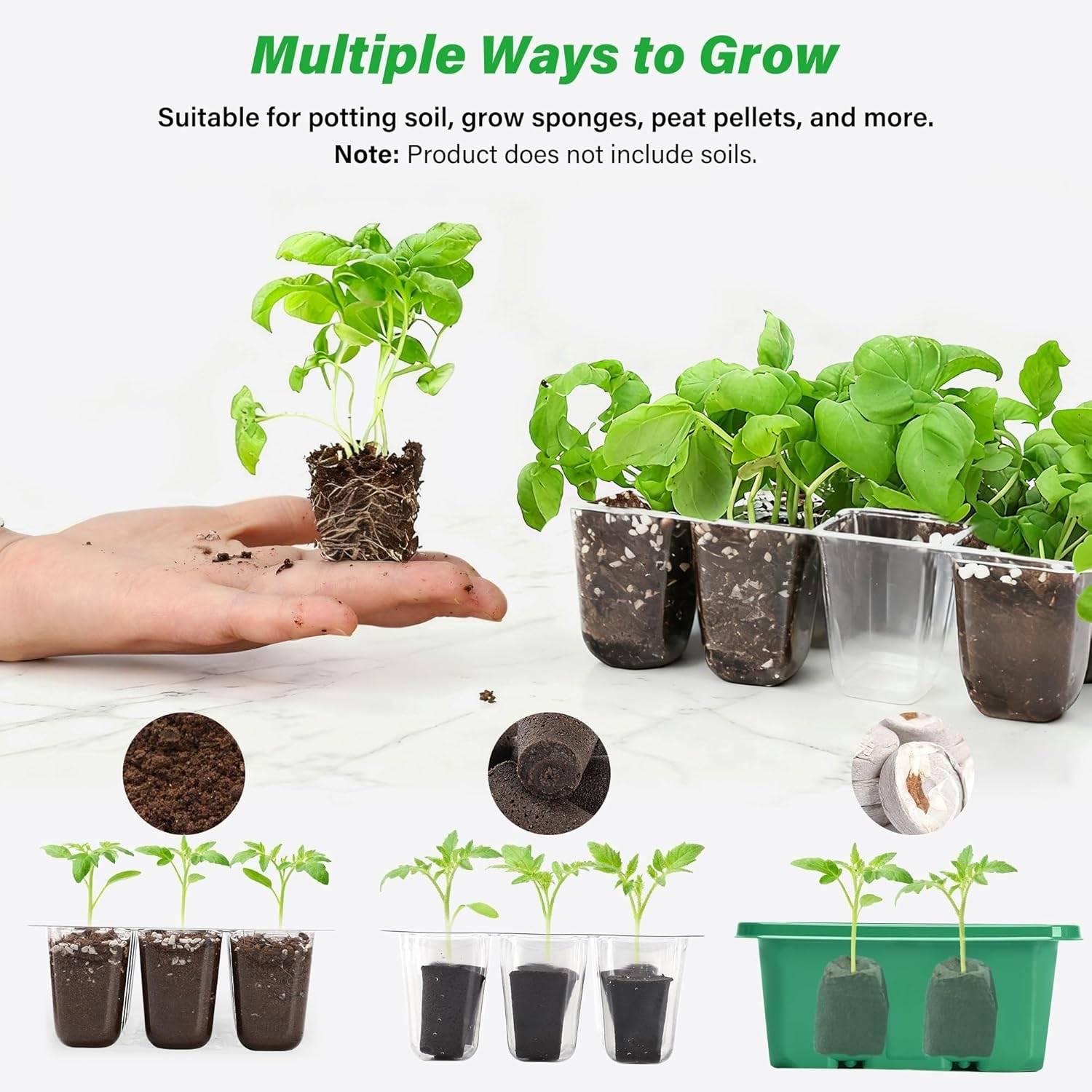 Seed Starter Container, Pack of 5