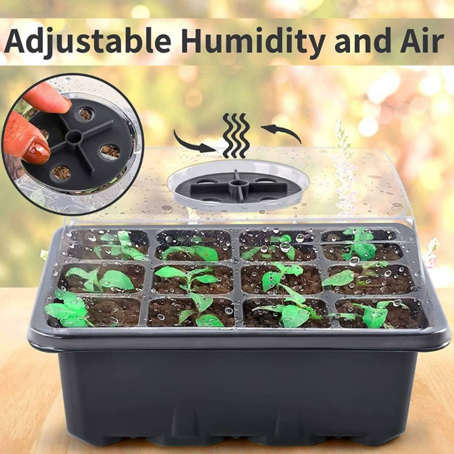 Seed Starter Container, Pack of 5: image 8