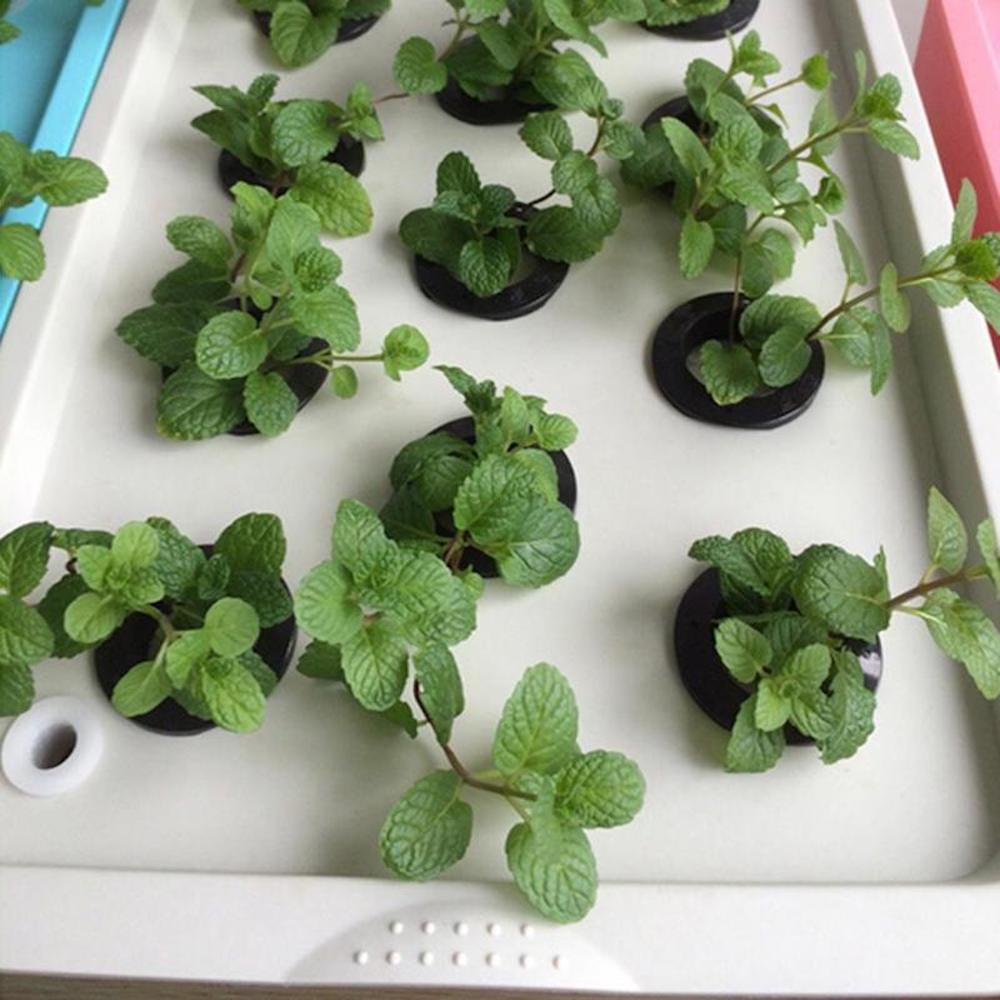 Deep Water Culture Hydroponic System, 11 Cup: image 2