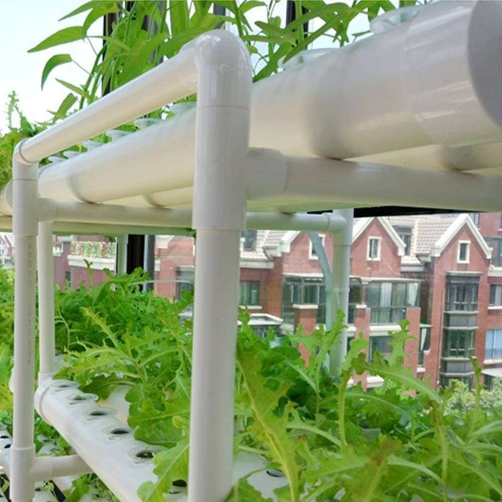 Leafy greens growing in a home NFT hydroponic system
